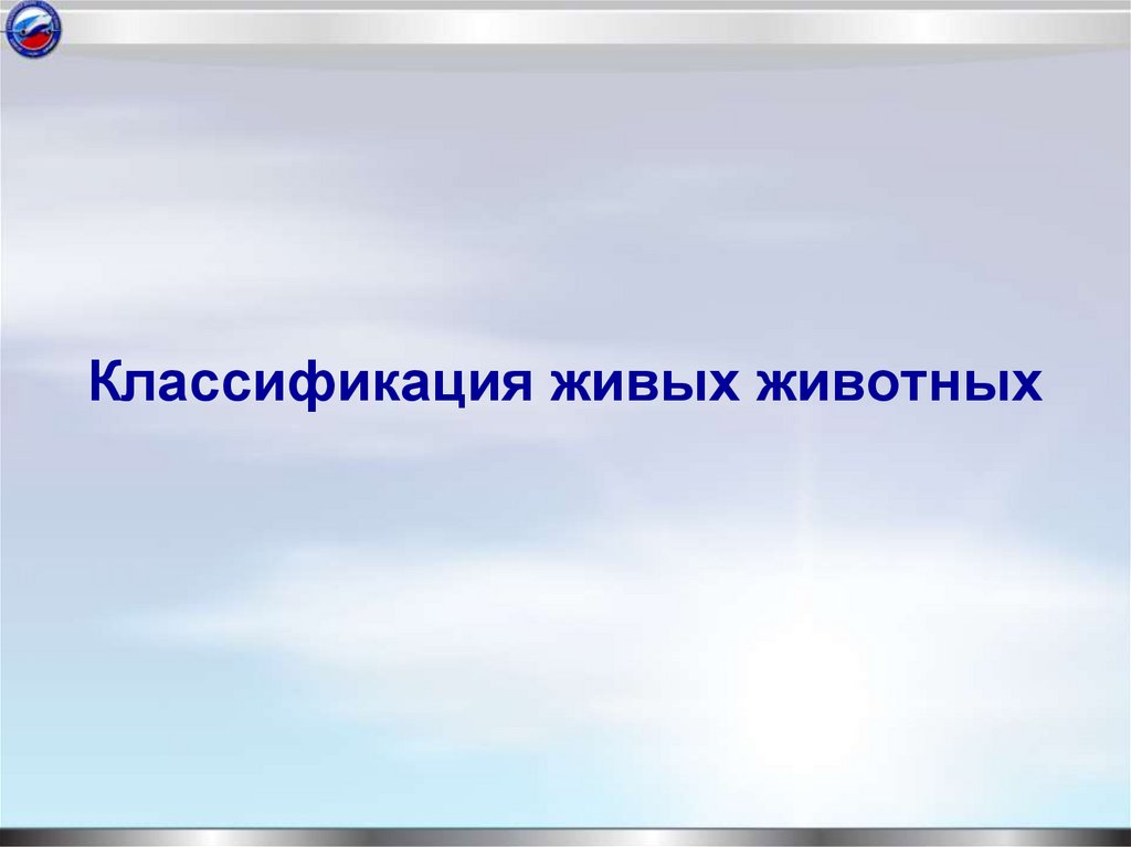 Классификация живых животных