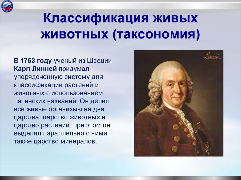 Классификация живых животных (таксономия)