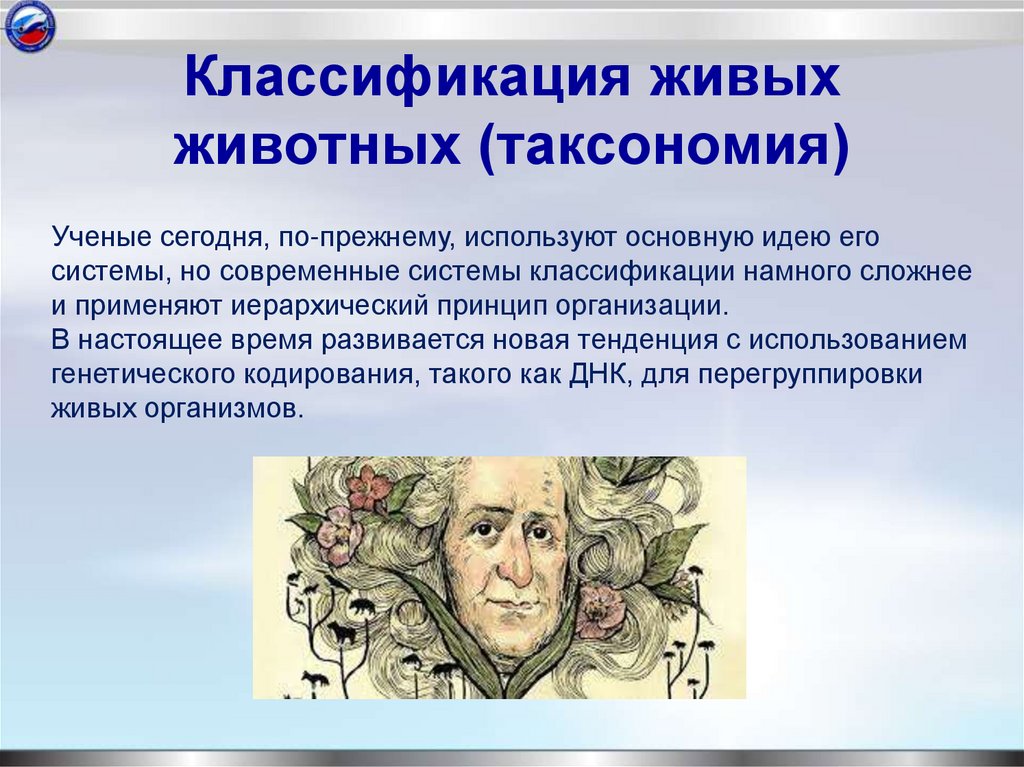 Классификация живых животных (таксономия)