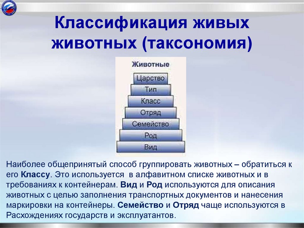 Классификация живых животных (таксономия)