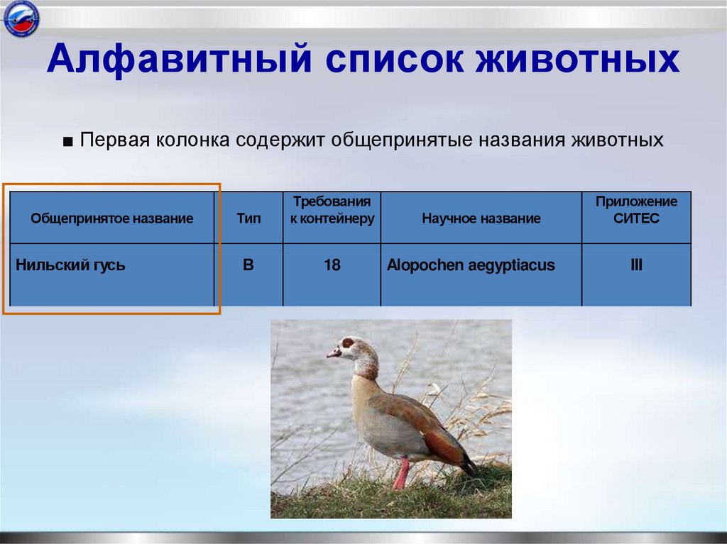 Алфавитный список животных