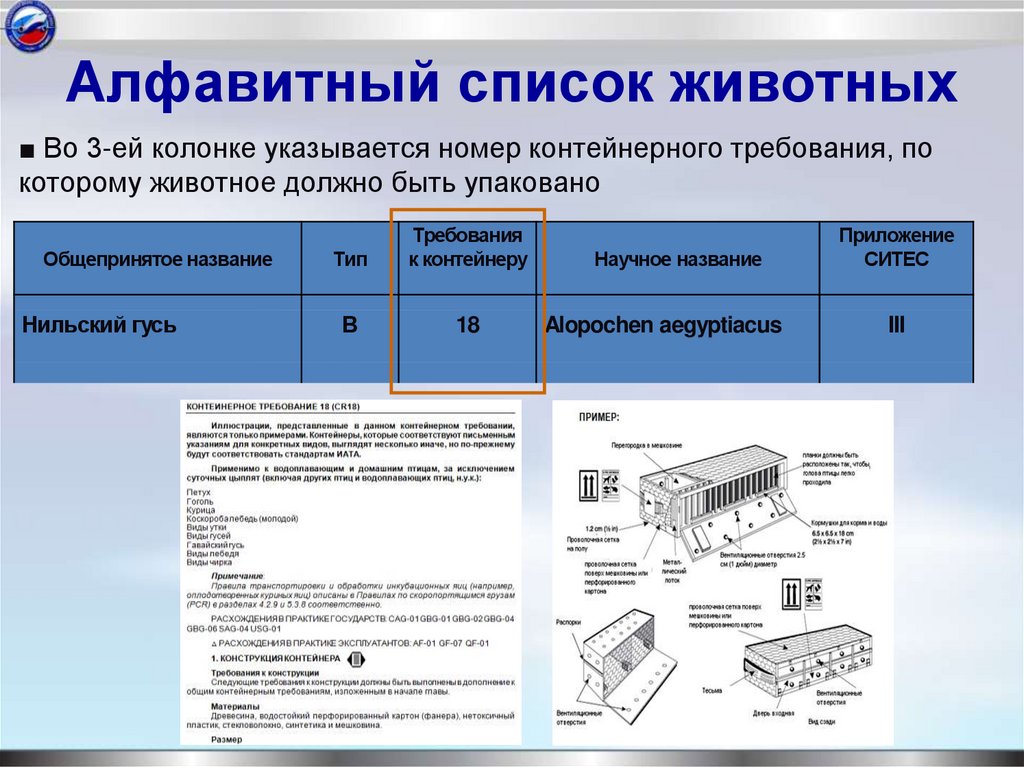 Алфавитный список животных