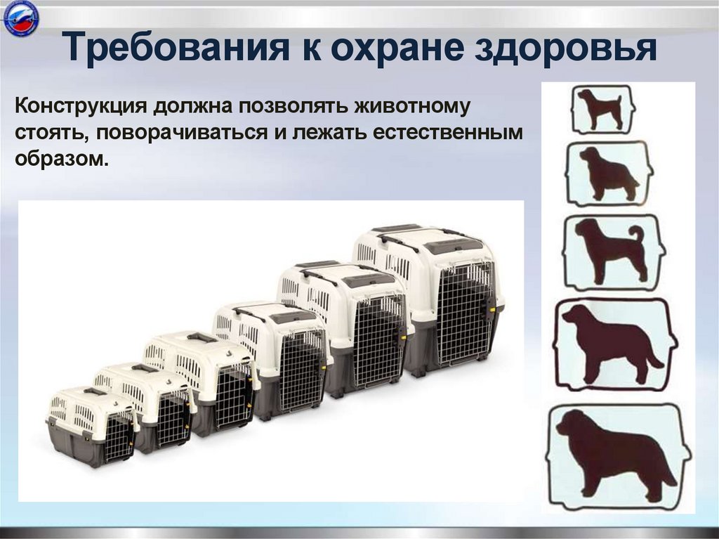 Требования к охране здоровья