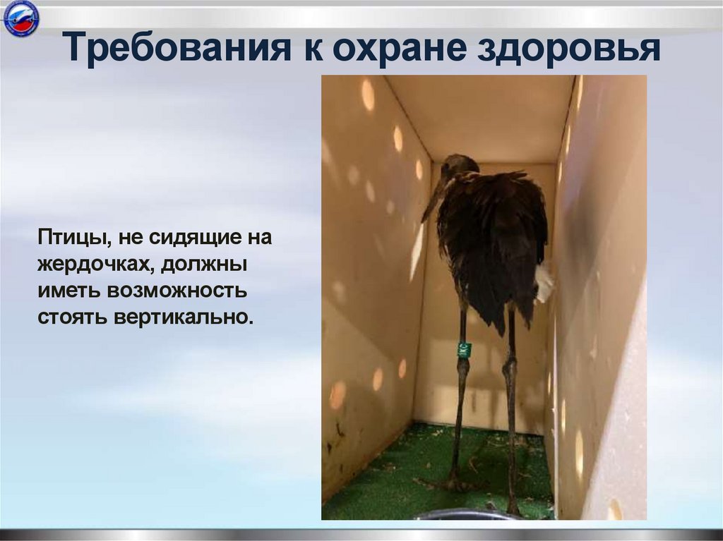 Требования к охране здоровья