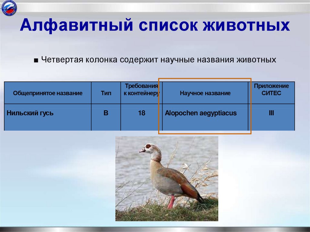 Алфавитный список животных