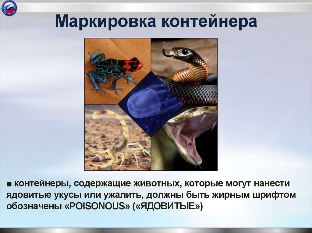 Маркировка контейнера