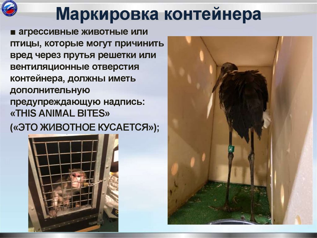 Маркировка контейнера