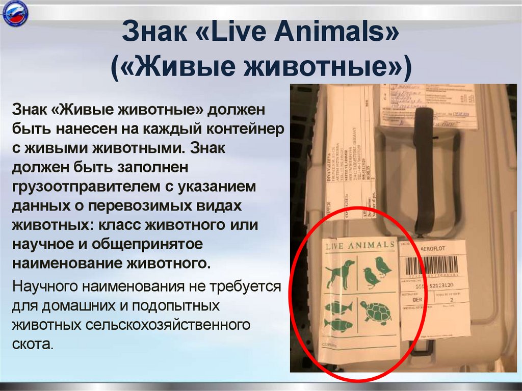 Знак «Live Animals» («Живые животные»)