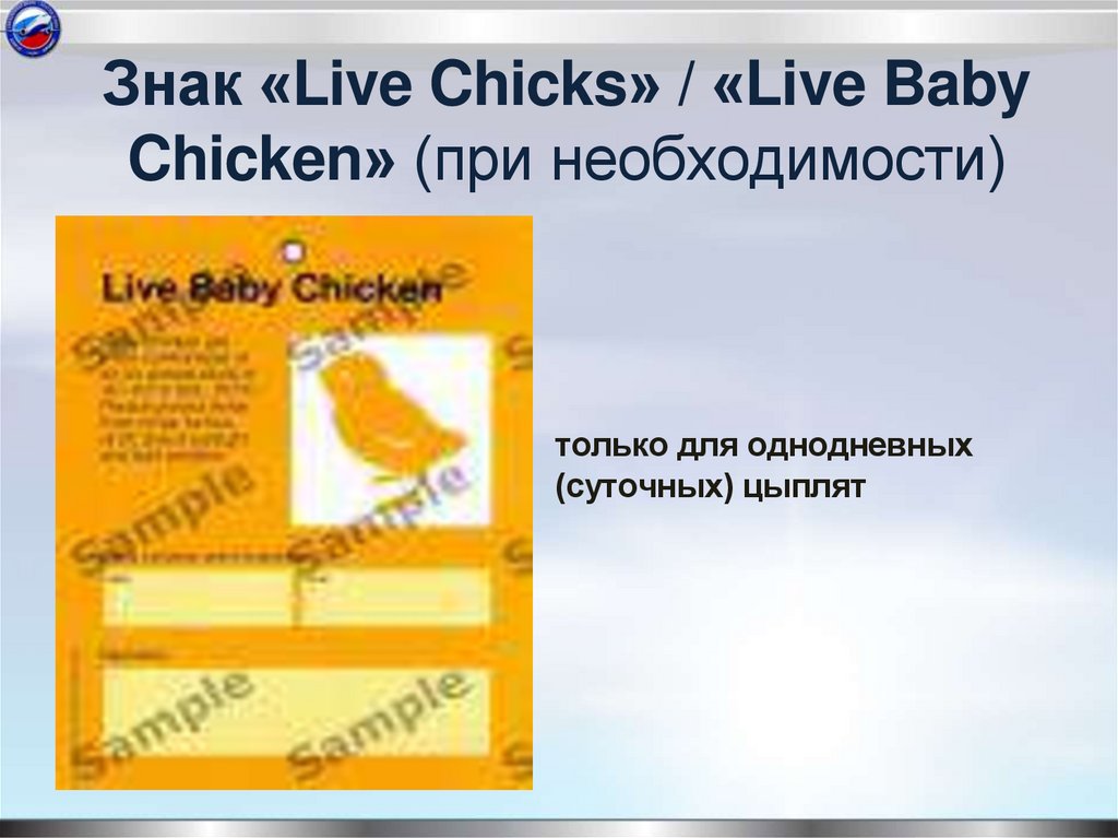 Знак «Live Chicks» / «Live Baby Chicken» (при необходимости)