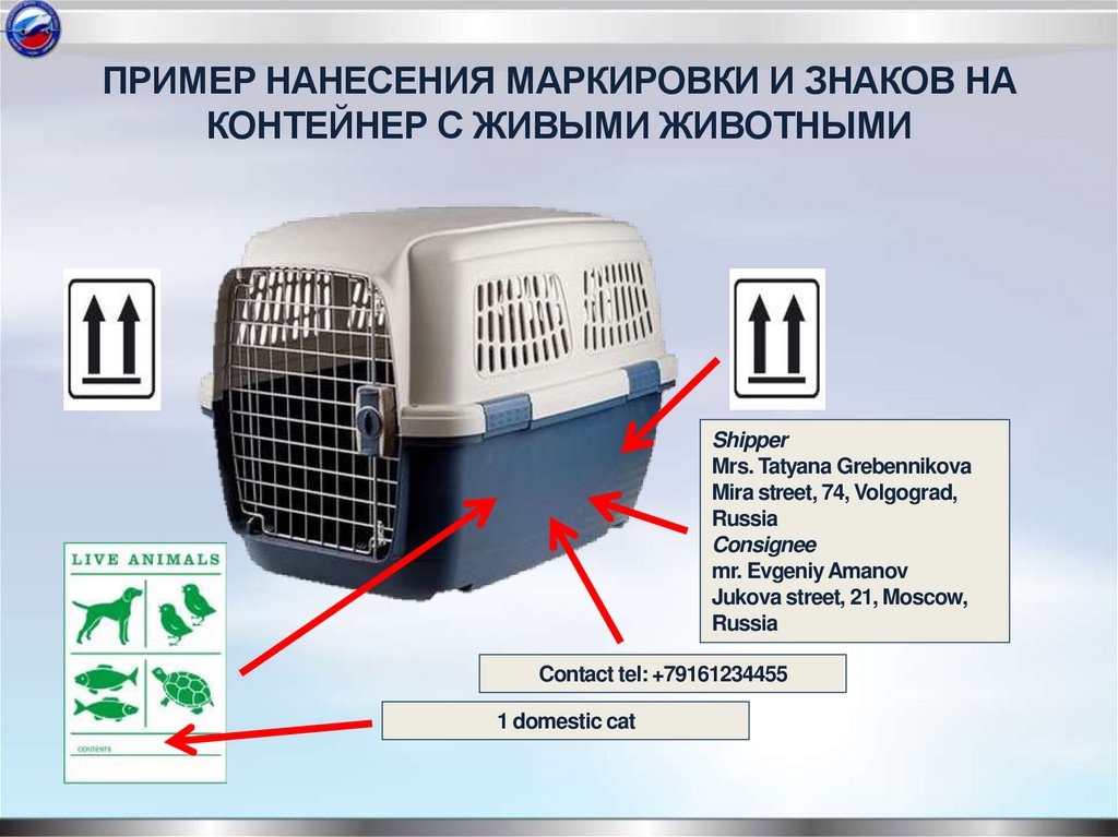 ПРИМЕР НАНЕСЕНИЯ МАРКИРОВКИ И ЗНАКОВ НА КОНТЕЙНЕР С ЖИВЫМИ ЖИВОТНЫМИ