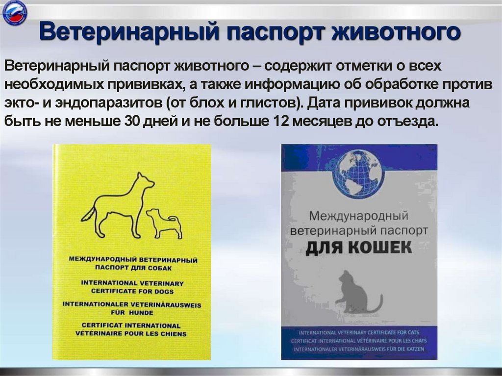Ветеринарный паспорт животного