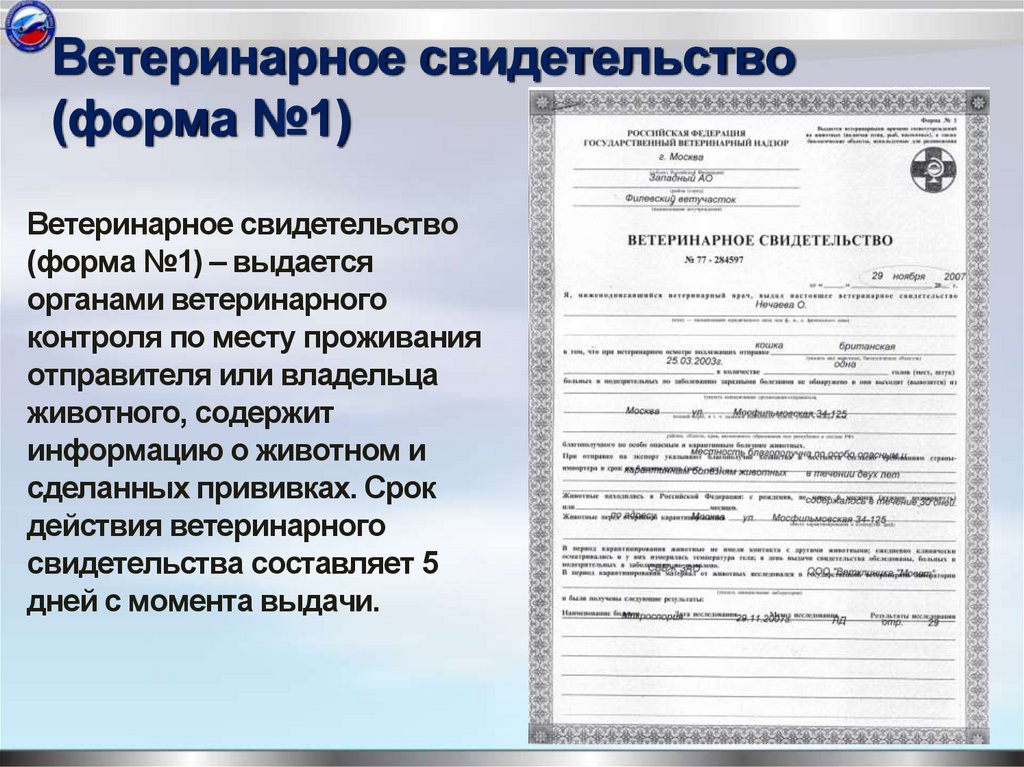 Ветеринарное свидетельство (форма №1)