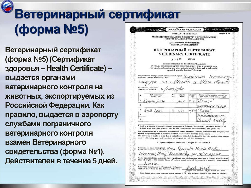 Ветеринарный сертификат (форма №5)