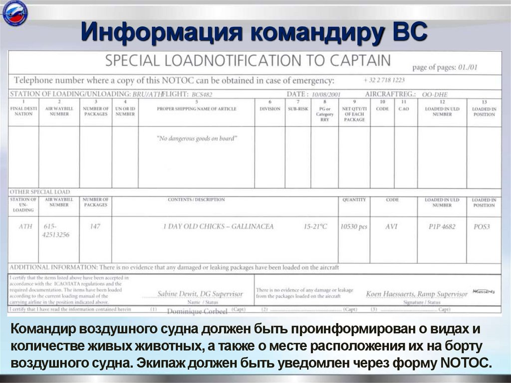 Информация командиру ВС