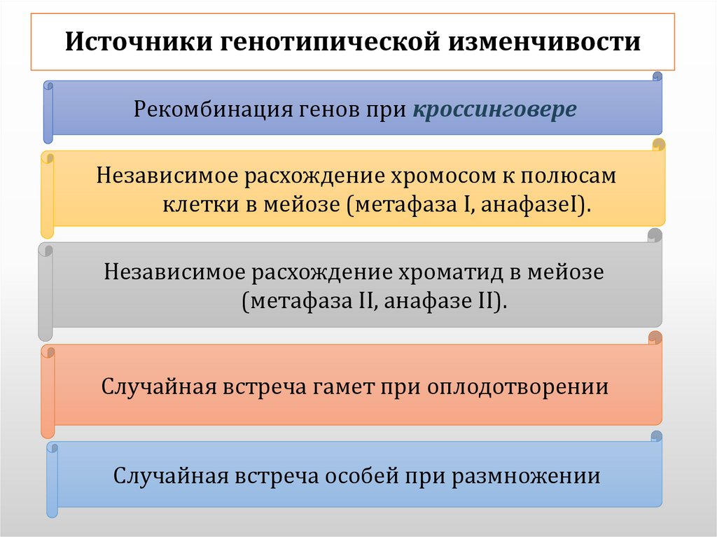 Источники генотипической изменчивости