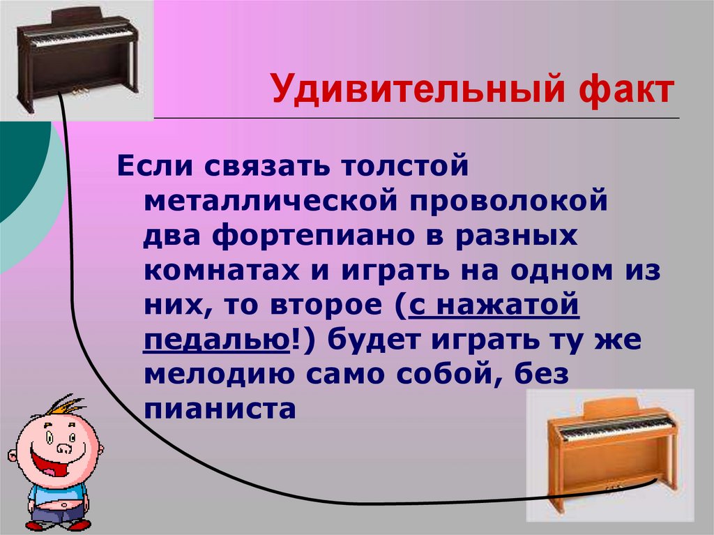 Удивительный факт