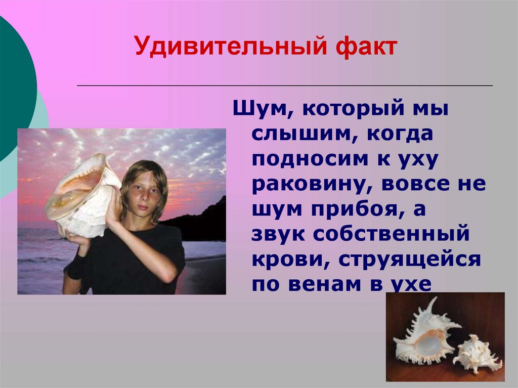 Удивительный факт