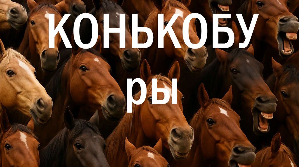 КОНЬКОБУры