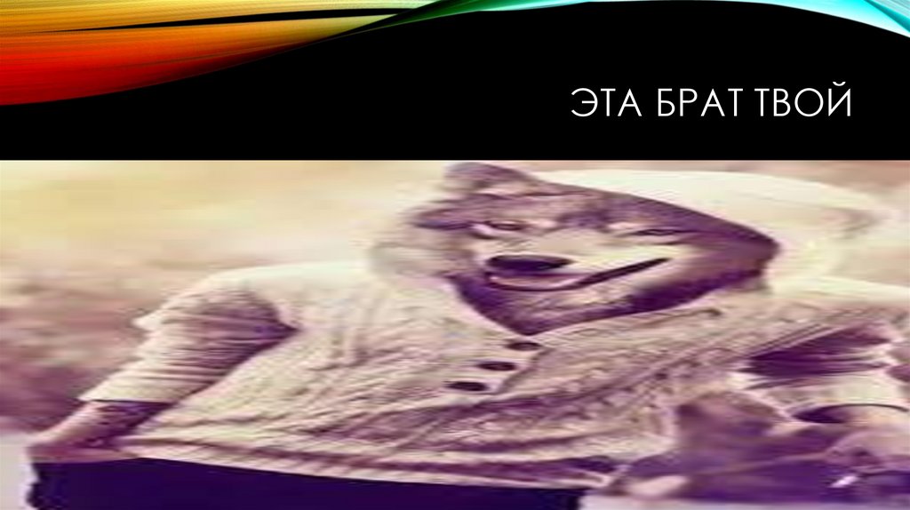 Эта брат твой