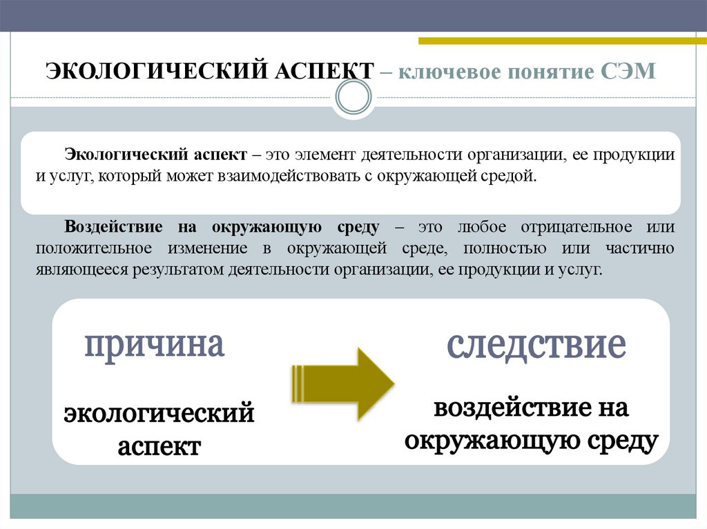 ЭКОЛОГИЧЕСКИЙ АСПЕКТ – ключевое понятие СЭМ