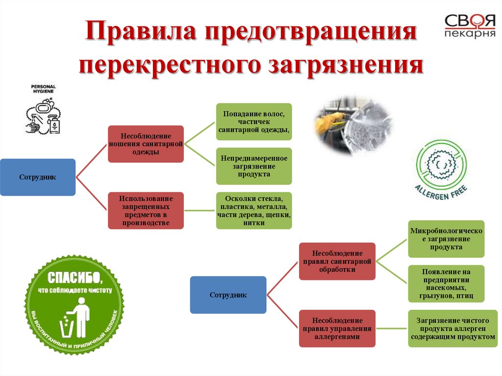 Правила предотвращения перекрестного загрязнения