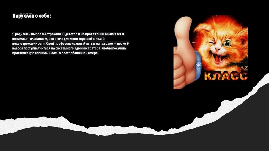 Пару слов о себе: