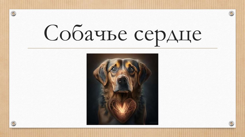 Собачье сердце