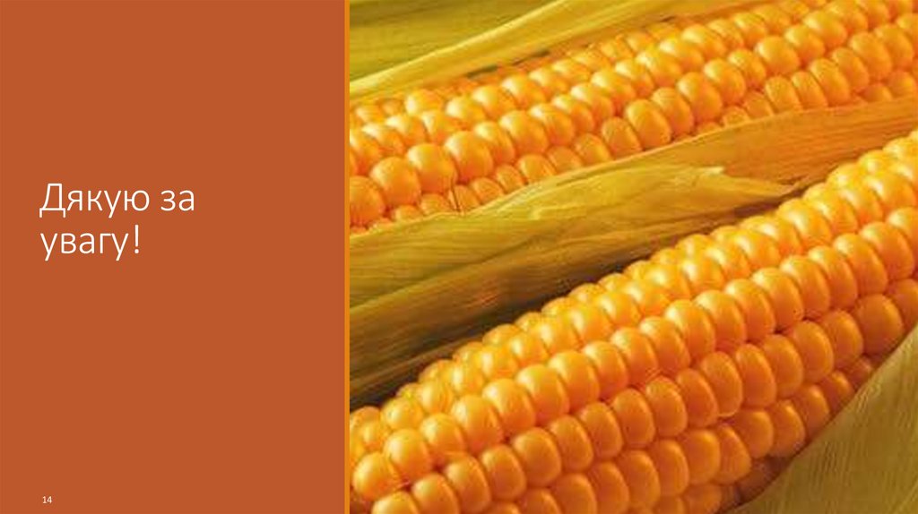 Дякую за увагу!