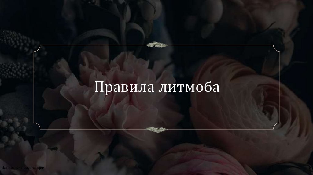 Правила литмоба