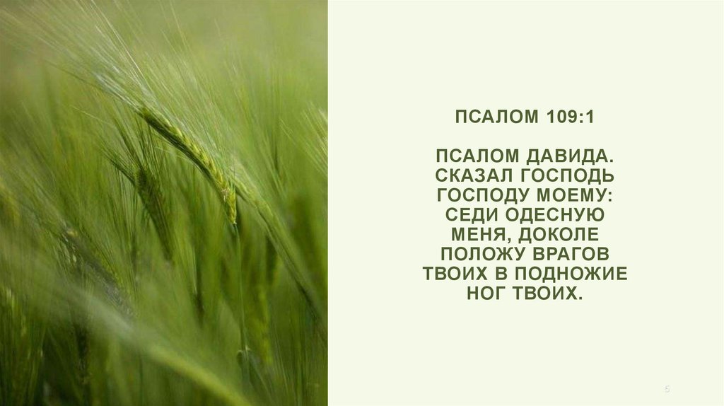 Псалом 109:1 Псалом Давида. Сказал Господь Господу моему: седи одесную Меня, доколе положу врагов Твоих в подножие ног Твоих.