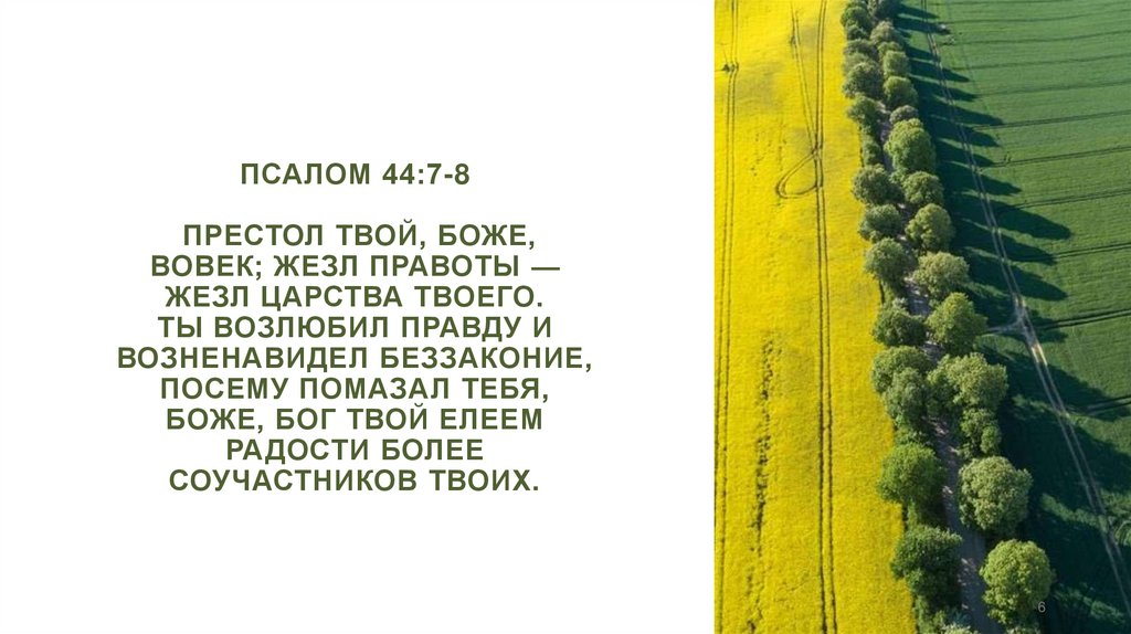 Псалом 44:7-8 Престол Твой, Боже, вовек; жезл правоты — жезл царства Твоего. Ты возлюбил правду и возненавидел беззаконие,