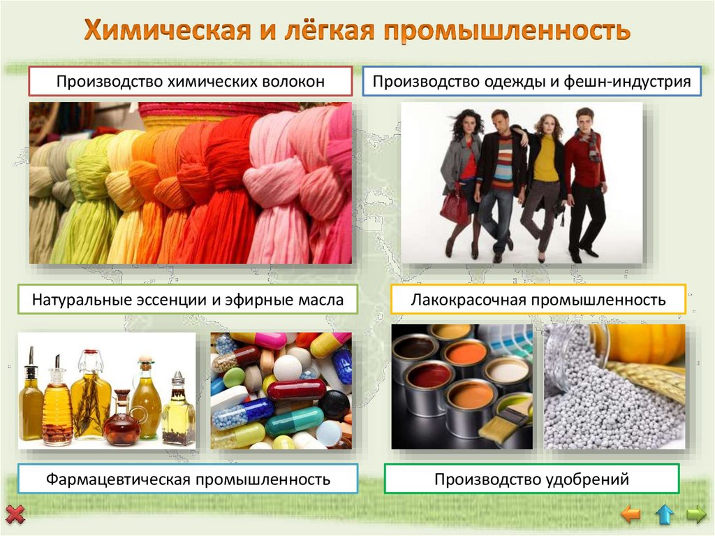 Химическая и лёгкая промышленность