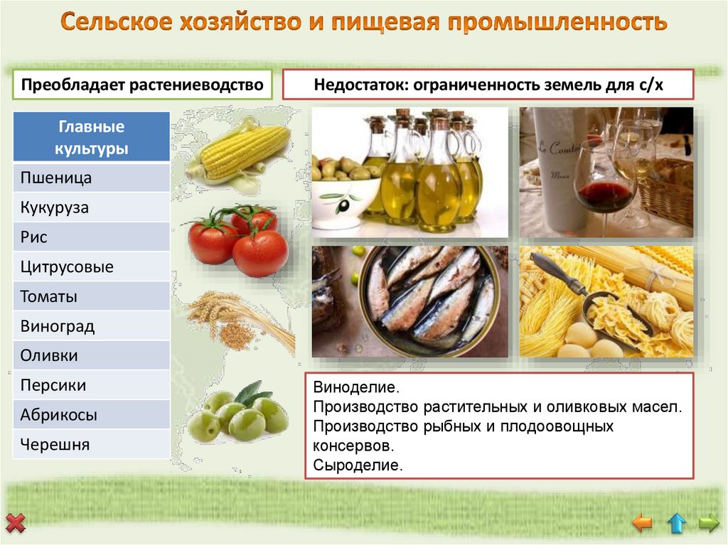 Сельское хозяйство и пищевая промышленность