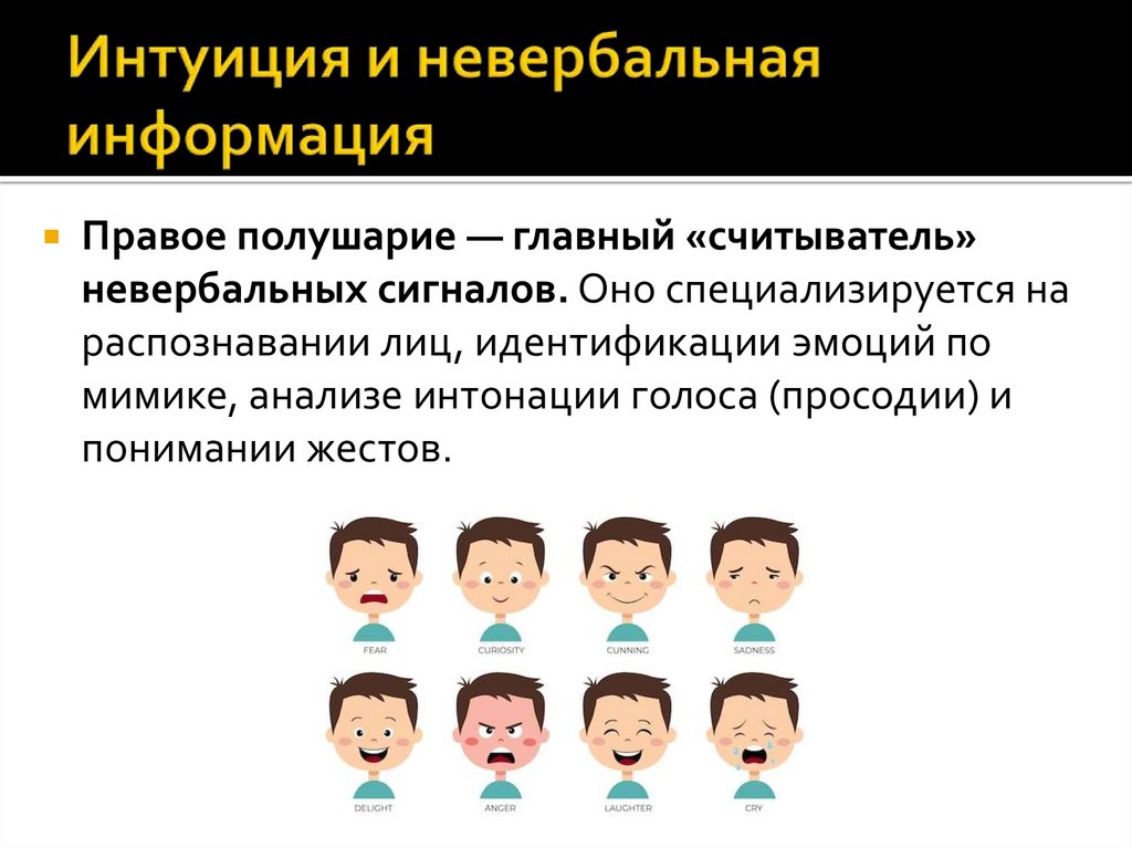 Интуиция и невербальная информация