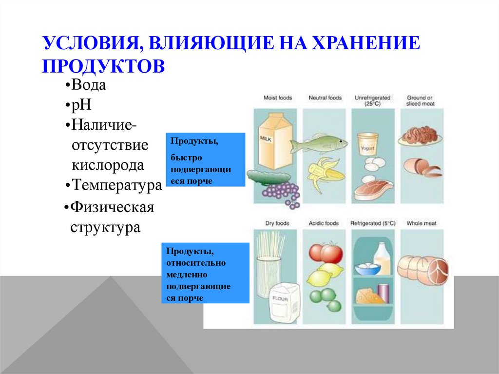 Условия, влияющие на хранение продуктов