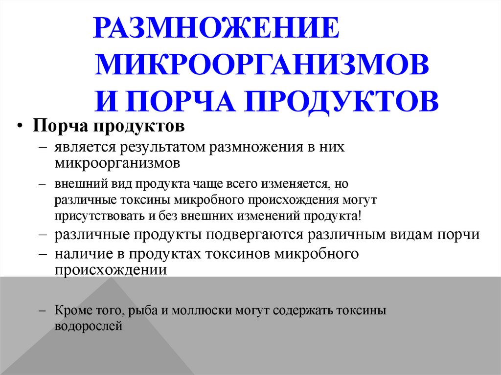 Размножение микроорганизмов и порча продуктов