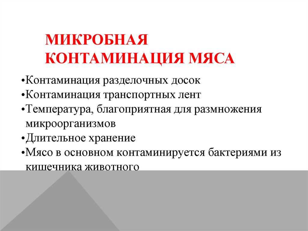 Микробная контаминация мяса