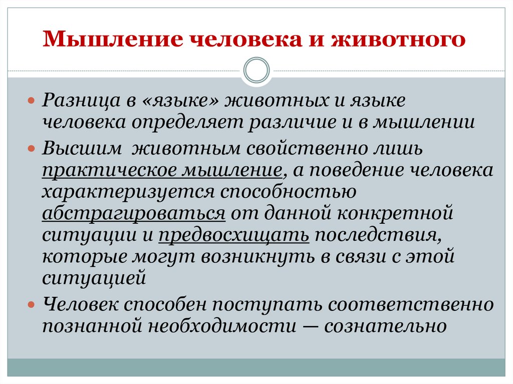 Мышление человека и животного