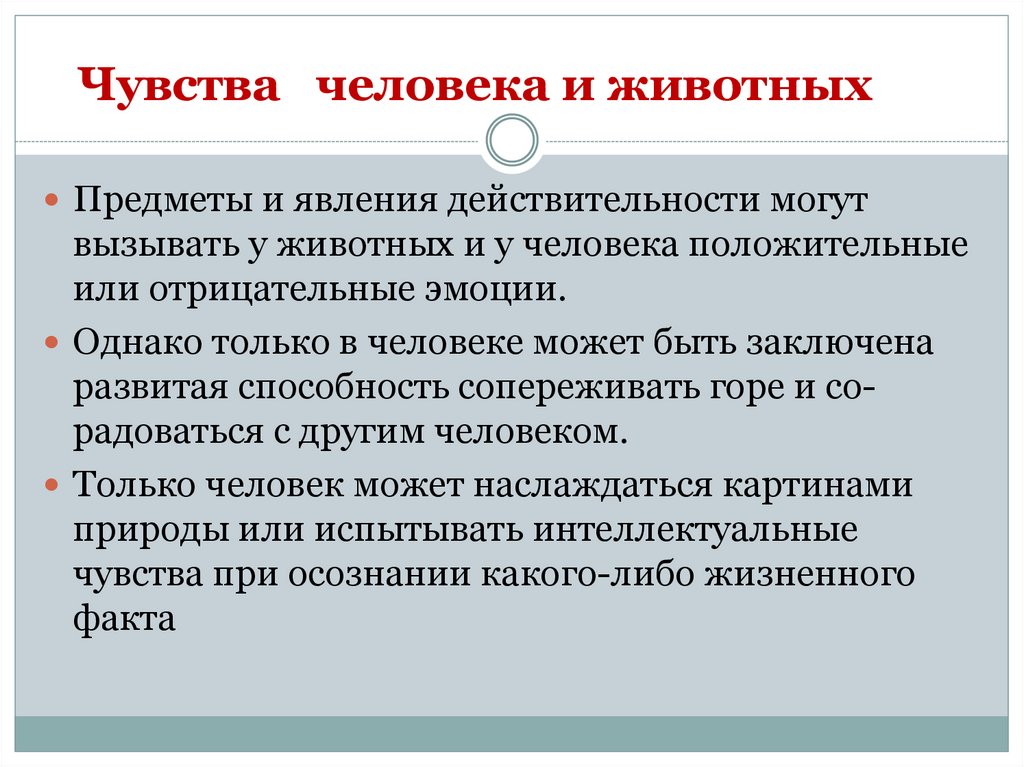 Чувства человека и животных