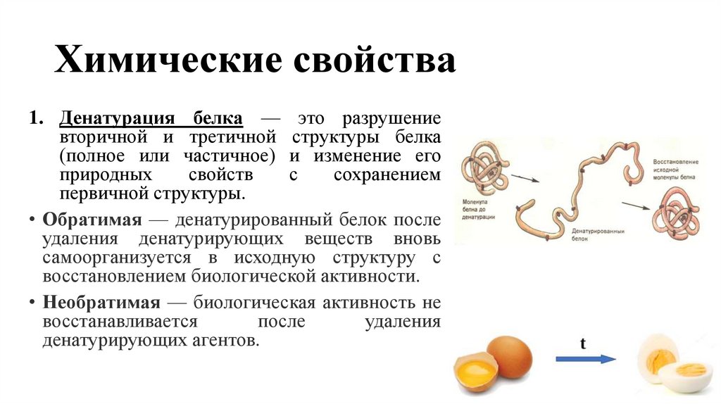 Химические свойства