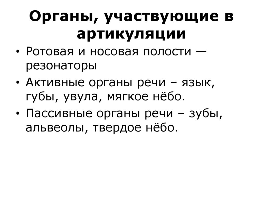 Органы, участвующие в артикуляции