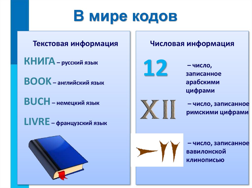 В мире кодов