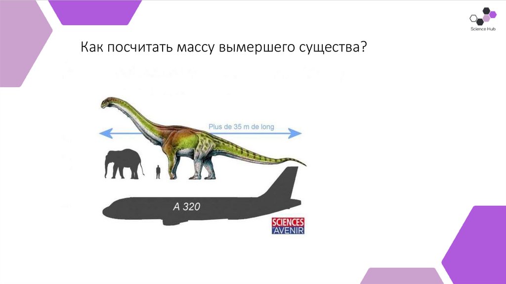 Как посчитать массу вымершего существа?