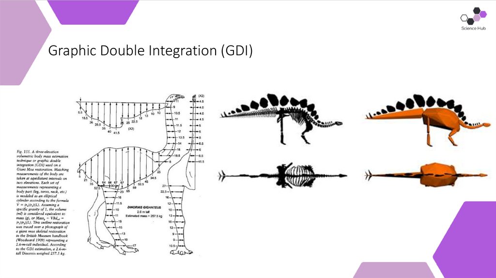 Graphic Double Integration (GDI)