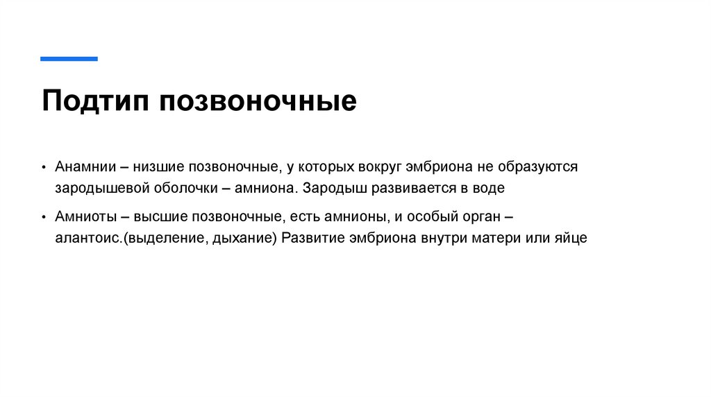 Подтип позвоночные