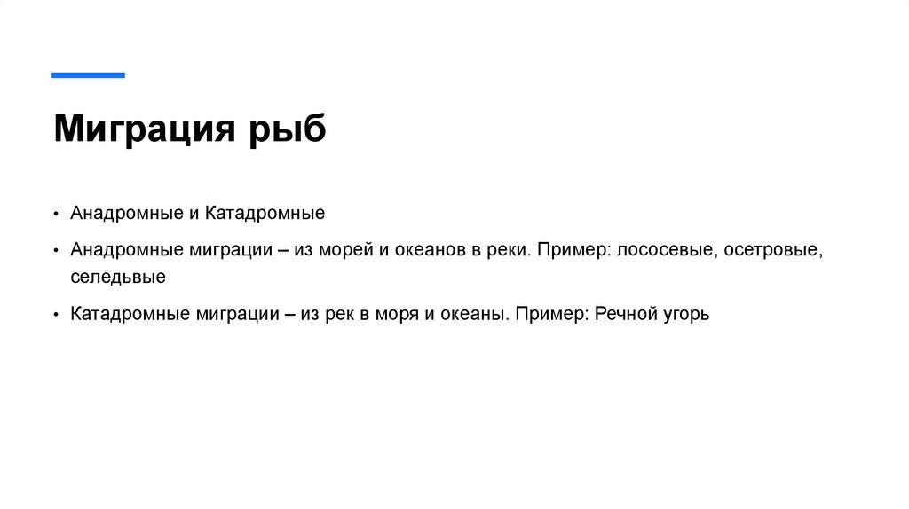 Миграция рыб