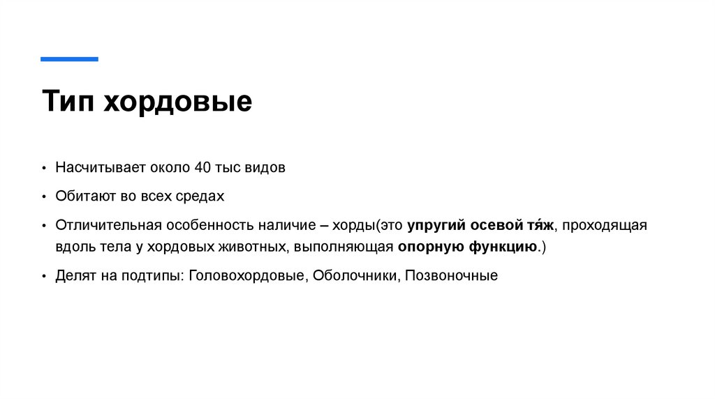 Тип хордовые