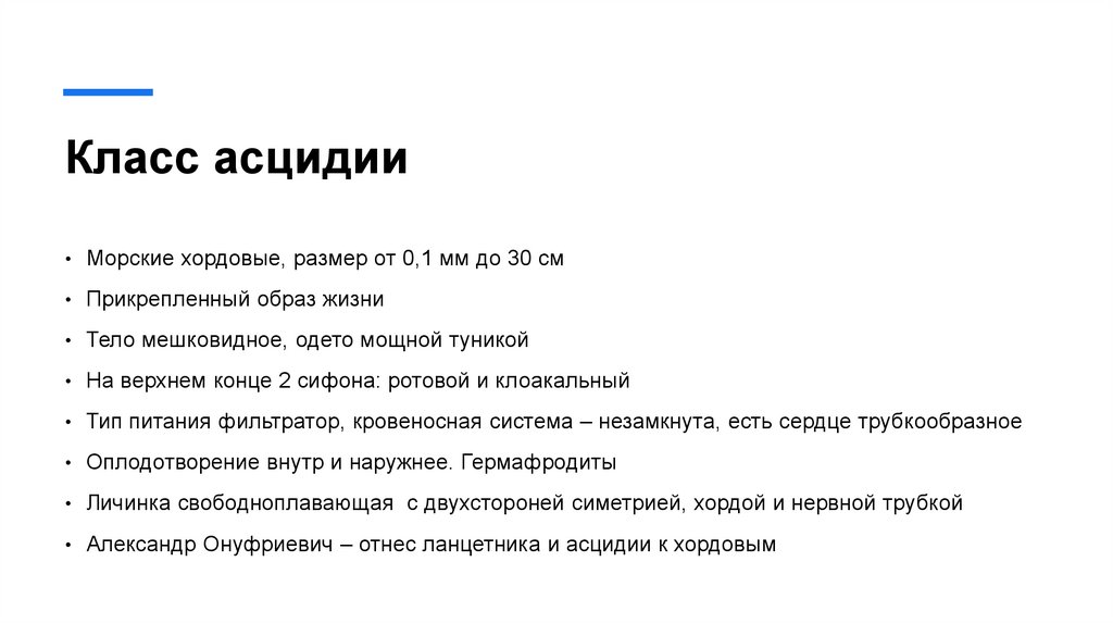 Класс асцидии