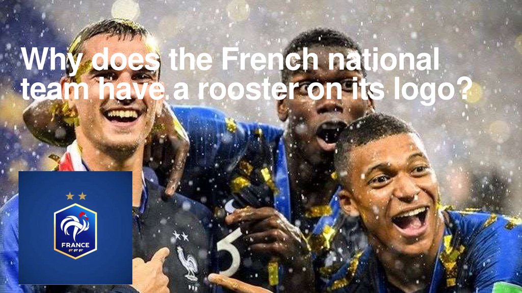 Why does the French national team have a rooster on its logo?