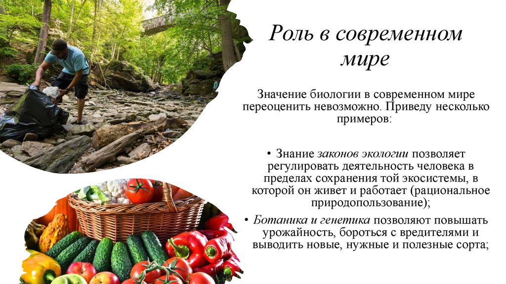 Роль в современном мире